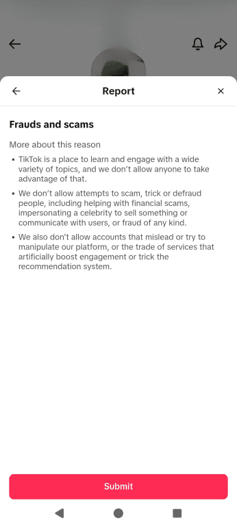 The TikTok account report feature, showing the final 